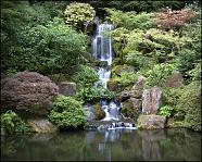 Japanese Gardens Waterfall Panoramic