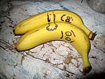 Click image for larger version

Name:	09-07-04 Bananas 006.jpg
Views:	129
Size:	48.9 KB
ID:	10984