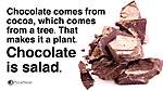 Click image for larger version

Name:	chocolate-is-salad.jpg
Views:	87
Size:	39.9 KB
ID:	12230