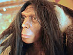 Click image for larger version

Name:	neanderthal-updated.jpg
Views:	99
Size:	44.1 KB
ID:	12276