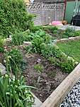 Click image for larger version

Name:	Garden 2.jpg
Views:	330
Size:	154.1 KB
ID:	15636
