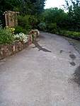 Click image for larger version

Name:	Alligator on the drive!.jpg
Views:	53
Size:	58.5 KB
ID:	294