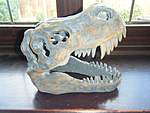 Click image for larger version

Name:	Tyrannosaurus Rex skull.jpg
Views:	79
Size:	18.2 KB
ID:	7378