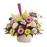 Click image for larger version

Name:	Happy-Birthday-Flowers-Basket.jpg
Views:	47
Size:	29.0 KB
ID:	7396