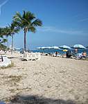Click image for larger version

Name:	BEACH VIEWS LAUDERDALE.jpg
Views:	85
Size:	65.6 KB
ID:	8535