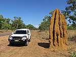 Click image for larger version

Name:	Termites.jpg
Views:	83
Size:	52.7 KB
ID:	893