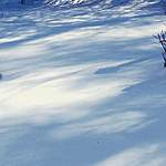 Click image for larger version

Name:	Snow Shadows.jpg
Views:	70
Size:	34.3 KB
ID:	5201