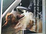 Click image for larger version

Name:	DOG AT THE WHEEL .jpg
Views:	183
Size:	31.4 KB
ID:	13124