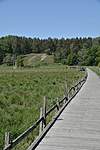 Click image for larger version

Name:	Wooden walkway.jpg
Views:	306
Size:	57.8 KB
ID:	15960