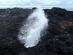 Click image for larger version

Name:	160227 003 Kiama Blow Hole.jpg
Views:	112
Size:	44.9 KB
ID:	2817