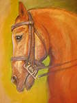 Click image for larger version

Name:	horses head aug 07 002.jpg
Views:	77
Size:	38.6 KB
ID:	3984
