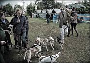 Blackwater country show