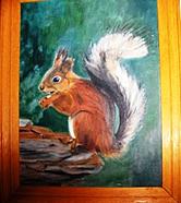 HPIM0354 Resized July 2011 Squirrel No3 
 
Nuts  Oil Painting on Board