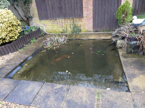 Pond 2