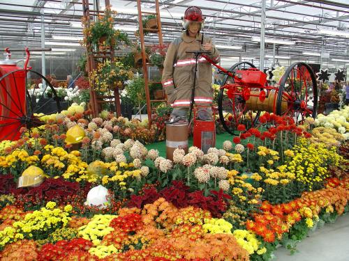 mum show, held annually